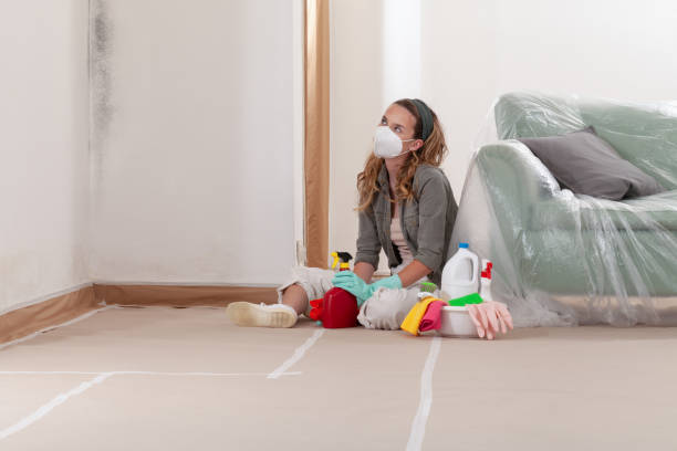 Reliable Mold Remediation contractor in Mount Pulaski, IL by 24 Hour Mold Removal